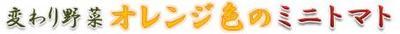 middle_1279251161.jpg