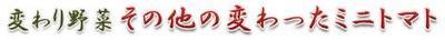 middle_1280460579.jpg